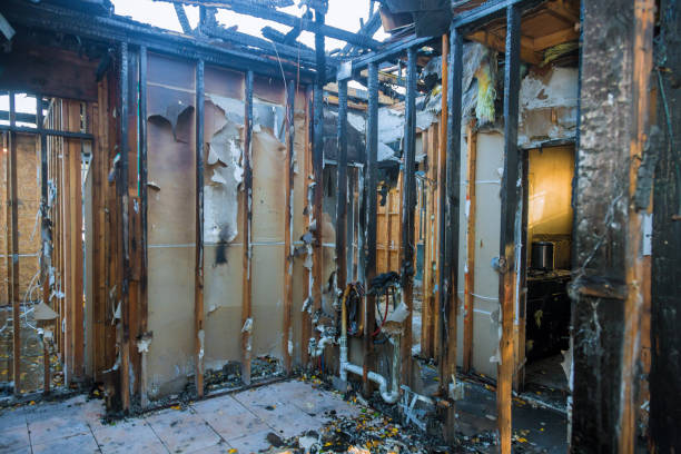 Professional Structural Rebuild technician working in Maple Lake, MN